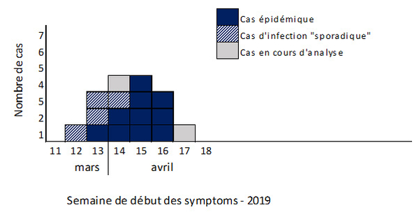 Distribution des cas d’infection à E. coli O26 en cours d’investigation, par semaine de début des signes. France, mars-avril 2019 (N=16).