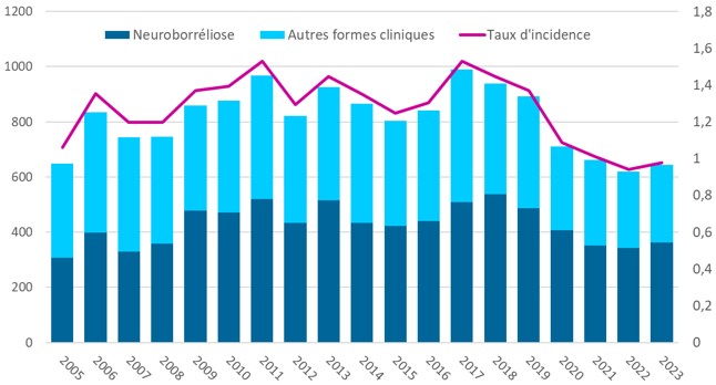 Patients hospitalisés pour Borréliose de Lyme, nombre, selon la forme clinique, et taux d’incidence pour 100 000 habitants, toutes formes confondues, entre 2005 et 2024, France entière, selon les données du SNDS.