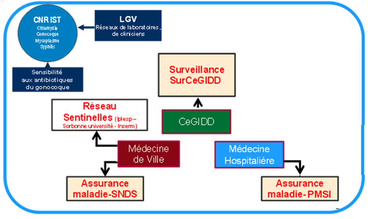 Système de surveillance des IST bactériennes